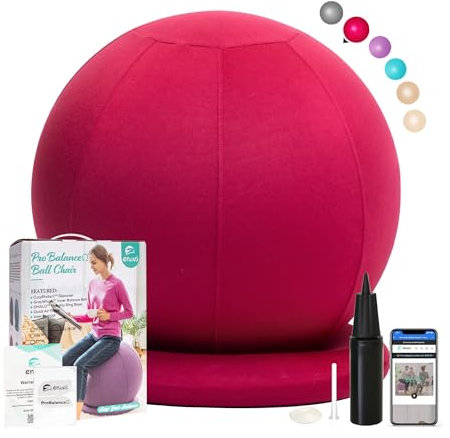 ENOVI ProfiBalance Gymnastikball mit Abdeckung, Pezziball, Sitzball Büro, 65CM, CR