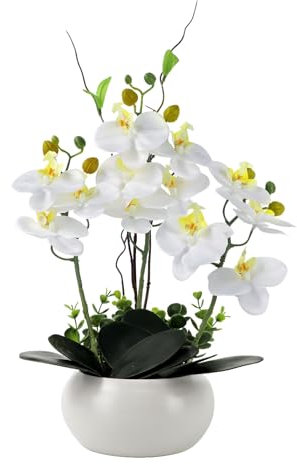 PlusFive Orchidées artificielles en pot - Phalaenopsis - Fleurs artificielles blanches en soie - 36 cm - Orchidées artificielles comme véritables pour décoration intérieure, décoration de table