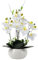PlusFive Orchidées artificielles en pot - Phalaenopsis - Fleurs artificielles blanches en soie - 36 cm - Orchidées artificielles comme véritables pour décoration intérieure, décoration de table