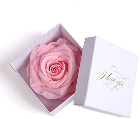 ROSEMARIE SCHULZ Infinity Rose in Rosa Konserviert Weiße Rosenbox mit Goldschrift I LOVE YOU Geschenk Idee Liebe für Sie für die Frau (1 Rose, Weiß-Rosa)