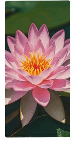 GHBNK Handtuch saugfähige Handtücher Bad Seerose Handtuch Waschlappen Ultra weiches Handtuch leicht und schnell trocknend Handtücher für Badezimmer Sport Yoga Fitness
