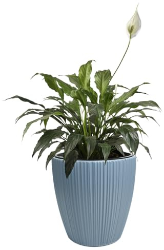 B2C Flowerpot Ridged Planter with removable insert Indoor Outdoor Modern Vertical grooves textured for home office patio garden decoration (Scandinavian blue, W35cm x H35cm)