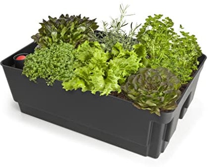 Biolan Pflanzgefäß mit ERD-Bewässerungs-System und Wasserstandsanzeiger 36 x 57 x 20 cm