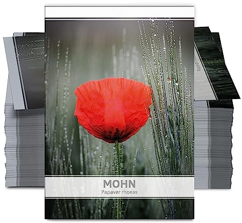 FLORTUS Mohnsamen als Gastgeschenke (100 Stück) | Blumensamen perfekt als Dankeschön Geschenke, Werbegeschenke & Trauerkarten Danksagung