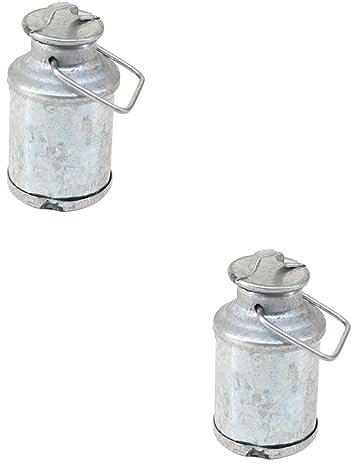 Toyvian Spielzeughaus 2 STK Mini-Küchenzubehör Zubehör für Wasserflaschen Miniatur Lieferungen e Mini-Möbelszenen-Accessoire Farm Milchkännchen Modell Puppenhaus Milchkanne Spielzeug