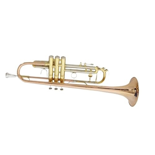 Trompeten B-Blechblasinstrument Anfänger Einstieg Profi Blechblas Standard Trompete Instrument Klang