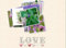 100 Samen / Pack, Staude Bodenbewuchs Moss Verbena Samen Blumensamen