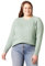 Amazon Essentials Damen Regular-Fit Langarm-Pullover Rundhalsausschnitt, Salbeigrün Meliert, XXL
