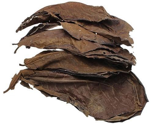 Aquarium-Mandelblätter: Premium Indische Mandelblätter, natürlicher Wasserverstärker | Unterstützt das Wohlbefinden der Fische reduziert Stress, schafft einen realistischen optimalen Lebensraum für