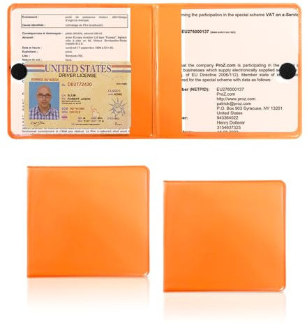 Dickno 2 PCS Car Registration and Insurance Holder, 10.6''×4.8'' Essential Auto Card Glove Box Organizer with Closure, Vehicle Interior Accessories Perfect for Documents, Cards (Orange)