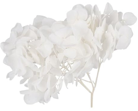 GALPADA 1 Confezione Fiori Essiccati Naturali Ortensia per Decorazioni da Te Art Bianco per Matrimonio e Feste