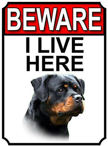 Shawprint Limited 1081H1 Señal de Puerta metálica con Texto «Be I Live Her», 200 mm x 10 mm, Metal, Rottweiler, 200MM X 100MM