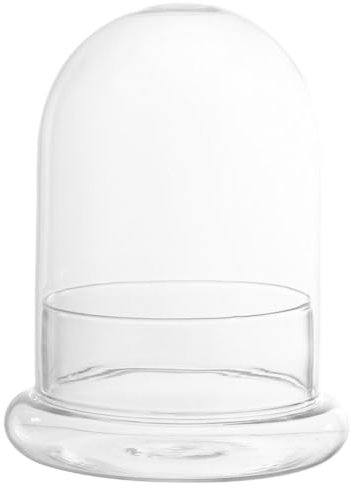 DEARMAMY Décor De Plantes En Verre 12X16cm Avec Base En Verre Couvercle De Terrarium Pour Plantes Cloche Antique Pour Affichage De Terrarium Micro Paysage Préservation Des Fleurs