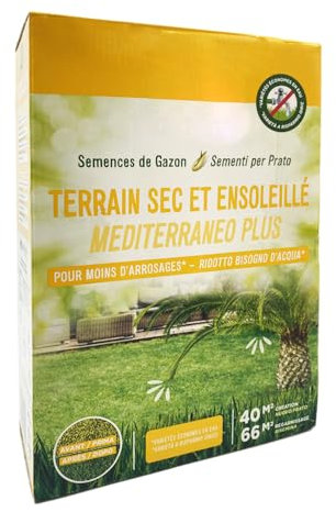 Virsus Semi per Prato MEDITERRANEO OL40, 1 Confezione da 1Kg, germinazione in 7 Giorni, semina con poca acqua, calpestabile, Prato Resistente alla Siccità adatto a tutti i tipi di terreni (40m²)