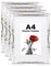 Egofine Lot de 4 cadres photo A4 en bois avec verre acrylique - Cadre en MDF - Passe-partout pour photos A5 - Cadre de certificats - Pour montage sur table et mural - 21 x 29,7 cm - Blanc rustique