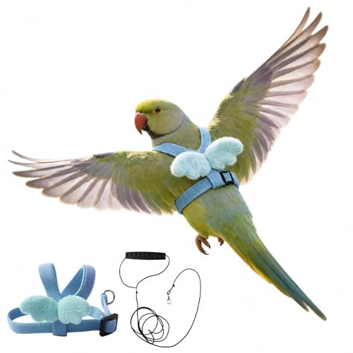 Peybaiwy Papagei-Geschirr und Leine-Set verstellbares Vogelgeschirr mit Seil leichte Flugleine bissfester elastischer Riemen für Spaziergänge und Training (Blau, S)