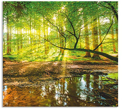 ARTland Spritzschutz Küchenrückwand aus Alu für Küche Herd Spüle 60x55 cm (BxH) mit Motiv Natur Landschaft Wald Bäume Sonne Bach Landhaus Grün T9IO