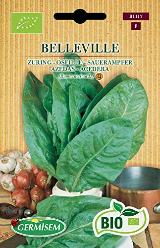 Germisem Sauerampfer BELLEVILLE ECBIO1117