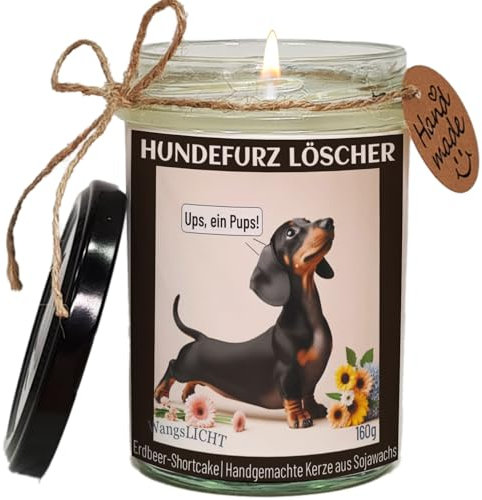 WangsLICHT: Hundefurz Löscher Kerze, Duftkerze mit lustigem Hundemotiv, nachhaltiger Geschenkverpackung, Handgemacht aus Sojawachs (Feu de Bois, Dackel/Dachshund)