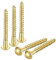 QUARKZMAN Tornillos de madera M5 x 40mm cabeza redonda ranurada de latón tornillo autorroscante para trabajos de carpintería 10 unidades