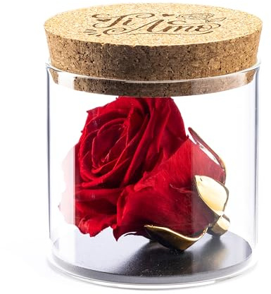 Amoroses Bijou – Rosa eterna estabilizada con cáliz Chapado en Oro de 24 Quilates en Tarro de Cristal | Idea de Regalo con Grabado «Ti Amo»