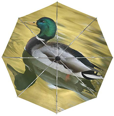 FANTAZIO Fantasio Reise-Regenschirm, Schwimmende Ente, automatisch, leicht