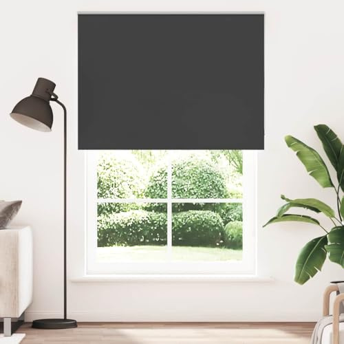 vidaXL Verdunkelungsrollo Schwarz 150x210 cm Stoffbreite 146,6 cm