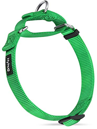 Hyhug Martingale Dog Collars for Medium Dogs, Green, Escape Proof | Heavy-duty no-pull nylon, secure fit for active dogs. Great for training walks and park outings. Durable & easy adjust