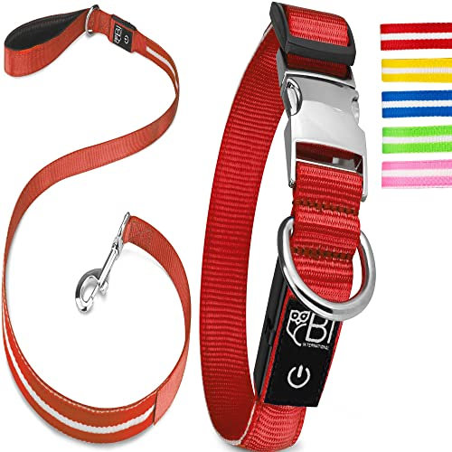 Leuchthalsband & Leuchtleine für Hunde [Das Original] Leuchtendes LED Hundehalsband zum spazieren gehen im Dunkeln Lange Akkulaufzeit Sicher Dank hochwertigem Metallverschluss (Rot, S (28-40 cm))