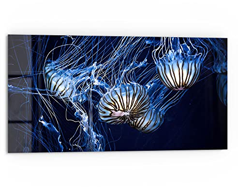 DEQORI Küchenrückwand Glas | Motiv Fluoreszierende Quallen | 80x40 cm | Bad- oder Herd-Rückwand | Herdblende Spritzschutz für Küche & Badezimmer | moderne Deko für Fliesenspiegel