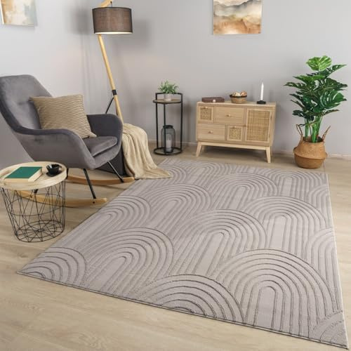 TT Home Wohnzimmer Teppich Esszimmer Kurzflor Geometrische Optik Skandi Boho Unifarben, Farbe:Hellanthrazit Grau, Größe:80x150 cm