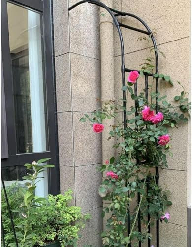 Traliccio da Giardino in Metallo per Piante di Rose, pergolato ad Arco, pergola fissata al Muro, Altezza 2,4 m, Resina Resistente agli Agenti atmosferici, Supporto Resistente, Nero, W220XH24