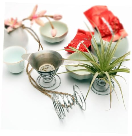 Milisten Práctico Expositor de Escritorio de Acero Inoxidable Resistente al Óxido Paquete de 6 Piezas Soporte para Plantas de Aire Tillandsia para Oficina y Hotel