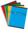 CONQUÉRANT Lot de 10 Cahiers reliure intégrale 17 x 22 cm 5x5 70g 180 pages coloris aléatoires