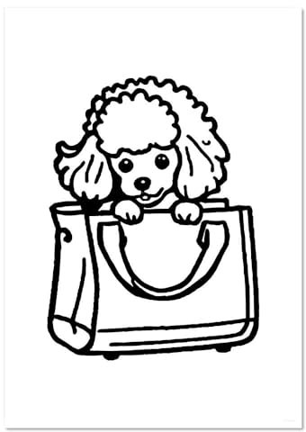 PP00272405 Wandposter, Motiv: Spielzeugpudel in einer Handtasche, A4