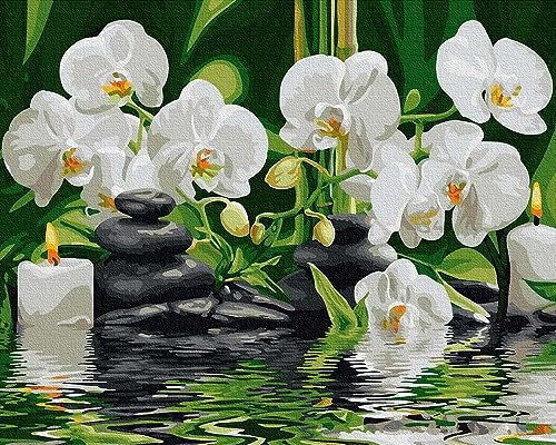 Artnapi Malen nach Zahlen Erwachsene ohne Rahmen | DIY Handgemalt | Orchideen im Wasser | Kit für Anfänger und Erwachsene | Set inklusive Acrylfarben & Pinsel | 40x50cm Leinwand