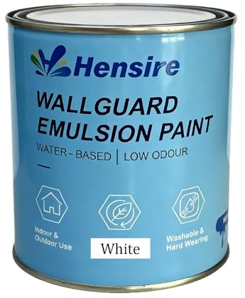 Hensire White Exterior Wall Paint for Concrete & Masonry, 35oz