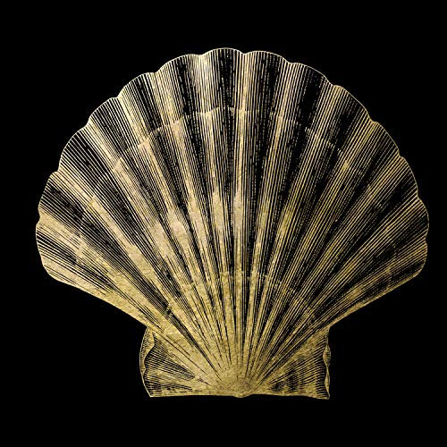 Queence | Acrylglasbild mit Blattgold | Wandbild Glasbild Acrylbild Rahmenlos | Muschel | Druck auf Acrylglas | Goldveredelung | Größe: 50x50 cm