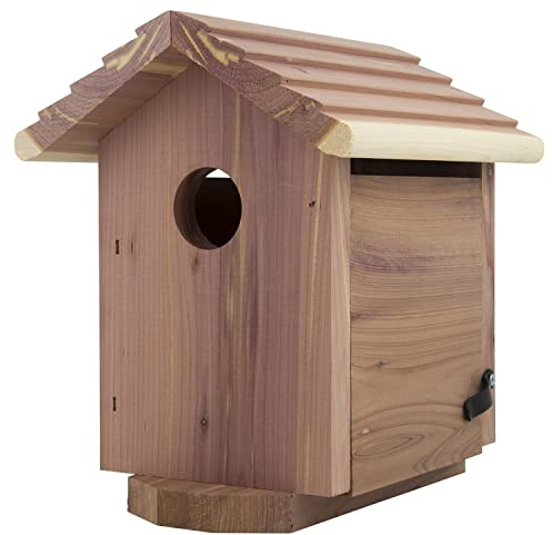 Pennington Pride Birdhouse for Outdoor, Outdoor Birdhouse Cedar, Room for 1 Adult and 3-4 babies