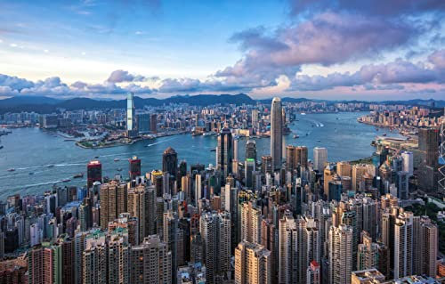 LHJOYSP puzzel for adult jigsaw puzzle 1000 piece City Hong Kong Central and Western District 75x50cm