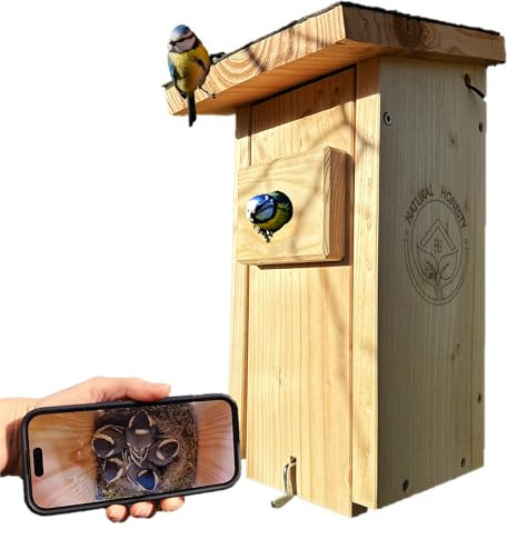 Hochwertiger Nistkasten inklusive Kamera | Live Stream | PEFC® zertifiziertem Massivholz | Brutkasten | Kamera Vogelhaus mit 3m Stromkabel | Geschenkidee Garten