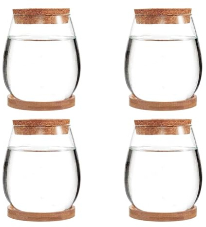 Sxmrmnx 4 Piece Mini Transparent Terrarium Glass Soilless Green Plant Vase As Shown Garden Living Room Home Tabletop Decoration