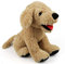 LotFancy Kuscheltier Hund Plüschtier klein 30cm, Stofftier Hund Golden Retriever, weich kuschelig Geschenk für Kinder Mädchen Freundin, Spielzeug für Hund Haustier