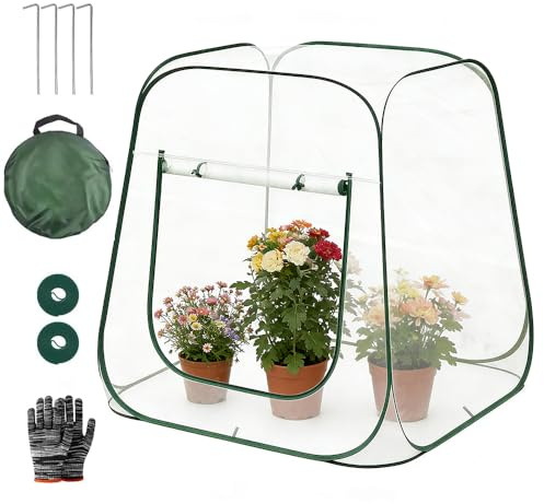 Mini Serra da Balcone Pop Up, 98 x 98 x 98 cm, Serra Piccola, PVC Impermeabile, per Proteggere Piante e Fiori, Adatto per Uso Interno ed Esterno, Trasparente