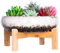 Cuenco Grande para Plantas suculentas con Soporte, Maceta de cerámica para bonsái con Pantalla de Drenaje, contenedor para Plantas de Flores de Cactus
