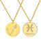 ChicSilver damen Fische ketete 925 silber/gold Sternzeichen Anhänger mit Zirkonia Tierszeichen Anhänger frauen