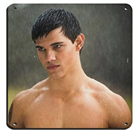 Schauspieler Taylor Lautner 2 Retro-Poster Metallschild Chic Art Retro Eisen Malerei Bar Menschen Höhle Cafe Familie Garage Poster Wanddekoration 30 x 30 cm