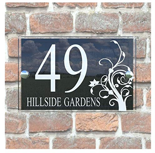 Numero de Maison Exterieur Maison acrylique transparent sur mesure Plaques de portes Plaques Plaques avec et Nombre de portes panneau noir Signes Saint Nom(14CM*30)