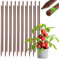 KADAX Tuteur pour plantes grimpantes en bois imprégné - Tuteur pour plantes grimpantes - Résistant aux intempéries - Bâton de fleurs - Treillis de treillis - Piquets en bois - 20, 28 mm x 150 cm