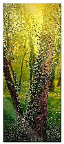 Pixxprint Glasbild Panorama, Wandbild aus Echtglas, Bäume und Efeu, 100x40 cm, inkl. Aufhängung und Abstandshalter